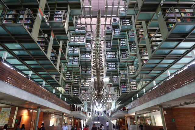 지상층에서 바라본 바스콘셀로스 도서관 내부. 이상훈 제공