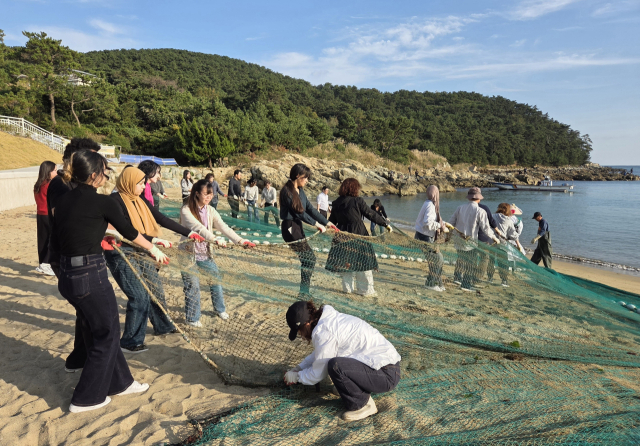 외국인관광객이 부산 공수마을 관광패키지의 후릿그물체험을 통해 문어·고등어 등을 낚고 있다. 어촌어항공단 제공