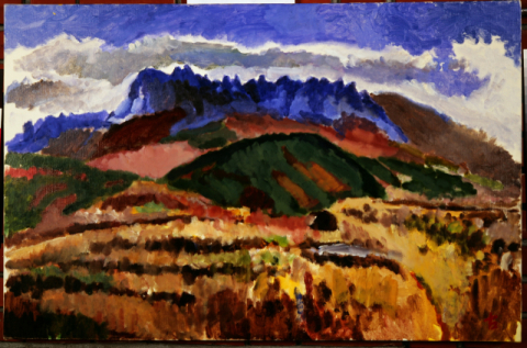 [김경진의 기록으로 그림 읽기] 올가을 설악 단풍도 예전만큼 이쁠까요.