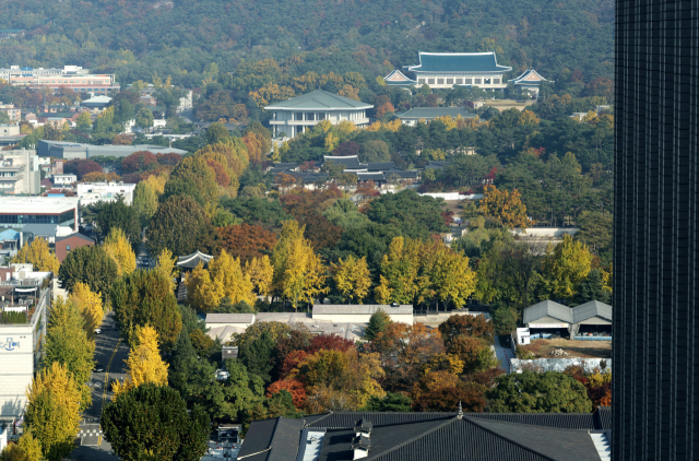 지난 7일 정부서울청사에서 바라본 종로구 경복궁과 청와대 주변이 가을 단풍으로 물들어 있다. 연합뉴스