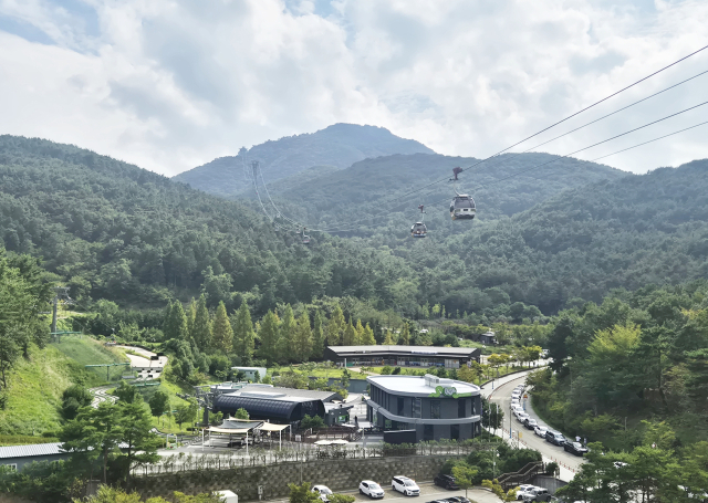 통영시가 산림청 주관 2025년 숲 가꾸기 평가에서 전국 226개 지방자치단체 중 유일하게 우수 사업지로 선정됐다. 통영시 제공