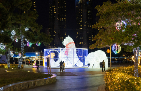부산 서구, ‘희망의 빛거리’ 14일 점등식