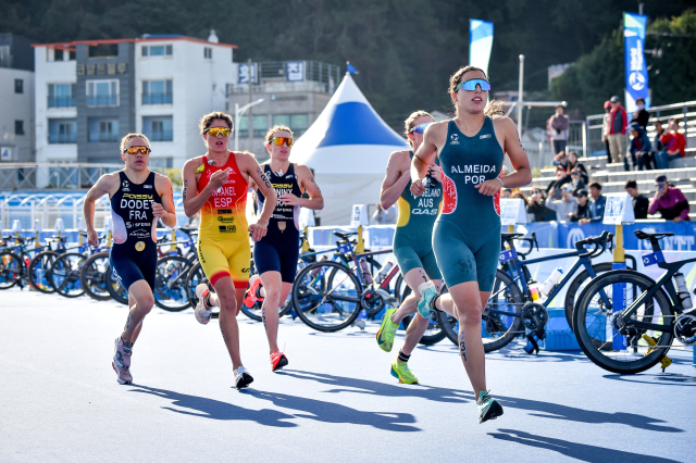 2025 통영 월드트라이애슬론컵 대회가 오는 14일부터 16일까지 3일간 도남동 트라이애슬론 광장과 시내 일원에서 열린다. 통영시 제공