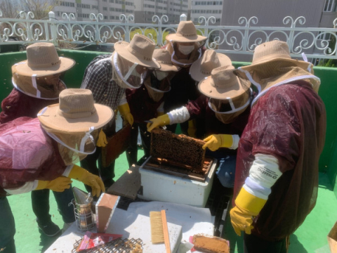 주민들이 모여 양봉사업을 하고 있다.