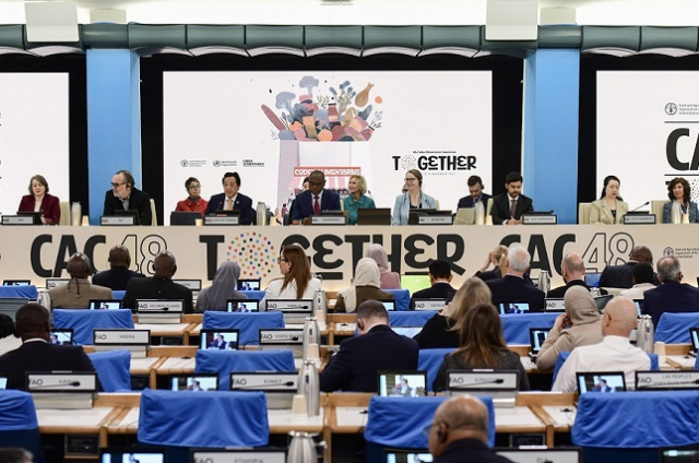 11월 10일부터 14일까지 이탈리아 로마에서 열린 제48차 국제식품규격위원회(코덱스) 총회 모습. 농식품부 제공