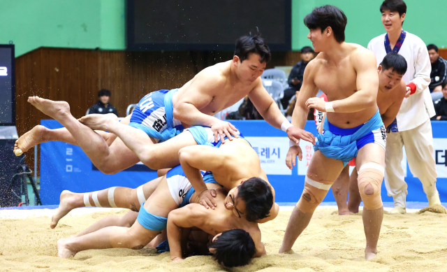 동아대 씨름부 선수들이 지난 12일 학산김성률장사배대회에서 단체전 우승을 차지한 뒤 인간 피라미드를 쌓으며 기뻐하고 있다. 부산씨름협회 제공