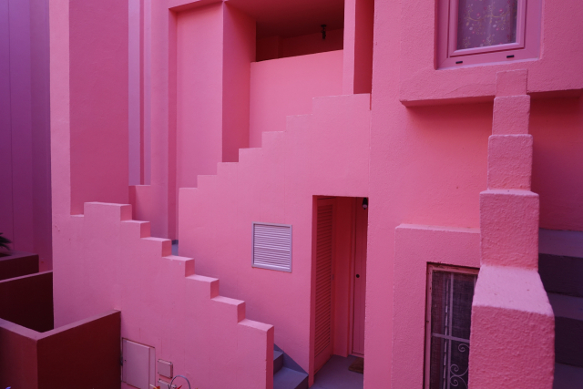 핑크 빛 색채를 띤 ‘라 무랄라 로하’. 이상훈 제공