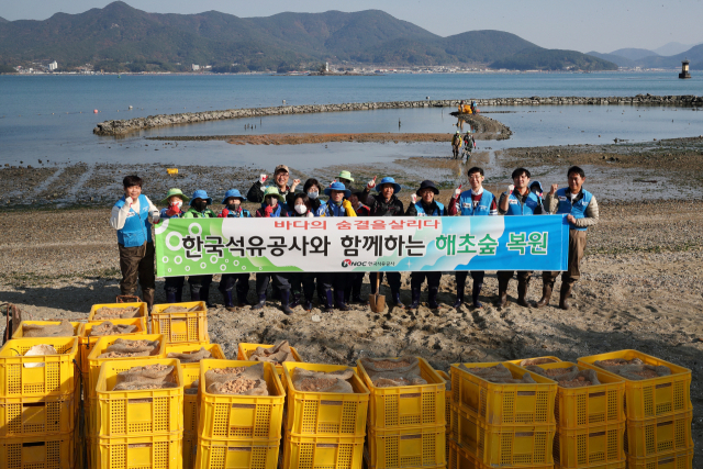 한국석유공사 임직원과 통영시 용남면 선촌마을주민이 해초 숲 복원을 위한 ̒잘피심기 ̓ 작업을 하기 앞서 기념촬영을 하고 있다. 석유공사 제공