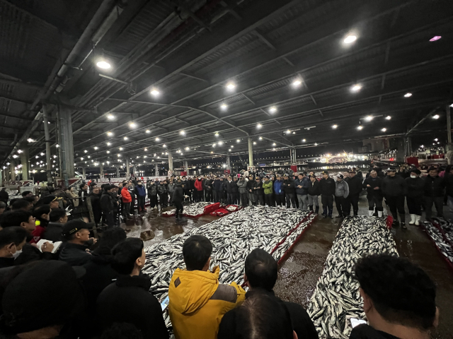 예년보다 1.5배~2배에 달하는 고등어가 잡힌 지난 22일 부산 서구 남부민동 부산공동어시장 모습. 부산공동어시장 제공