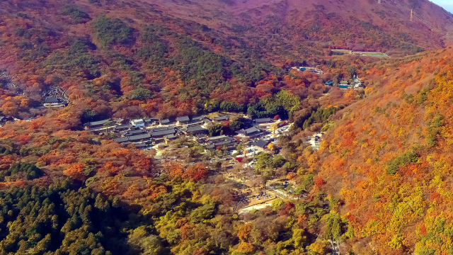 가을의 절정으로 치달은 지난 23일 부산 금정구 범어사를 둘러싼 산이 울긋불긋 단풍으로 물들어 장관을 이루고 있다 김종진 기자 kjj1761@