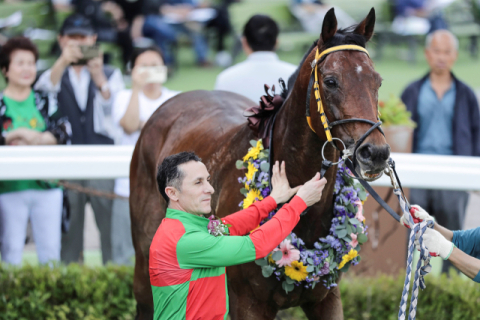 500승의 고지를 밟은 다실바 기수.
