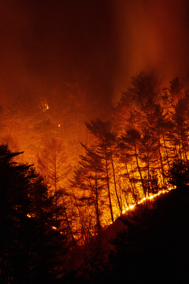 클립아트코리아