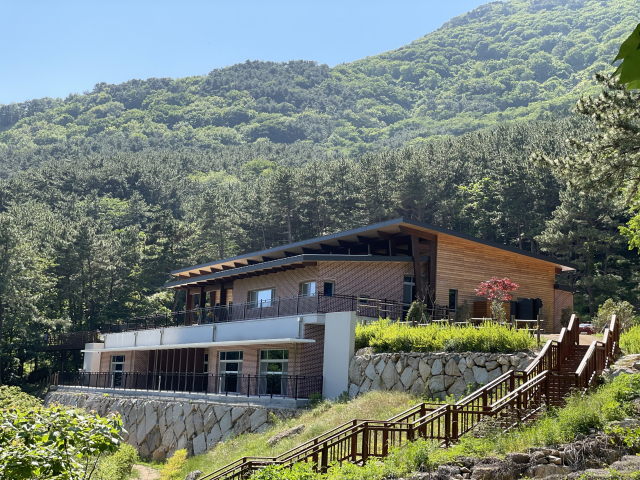 2025 부산 웰니스 관광지로 신규 지정된 국립부산승학산 치유의 숲. 부산관광공사 제공