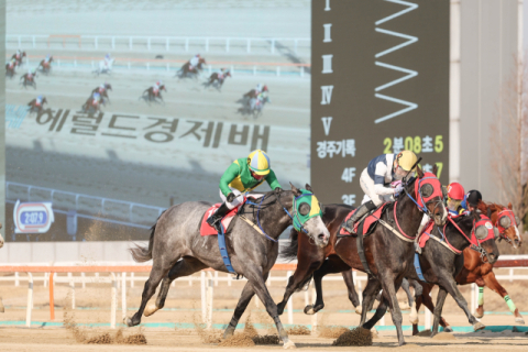 석세스백파(25년 헤럴드경제배 우승장면)