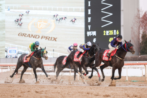 글로벌히트(24년 그랑프리 우승장면)