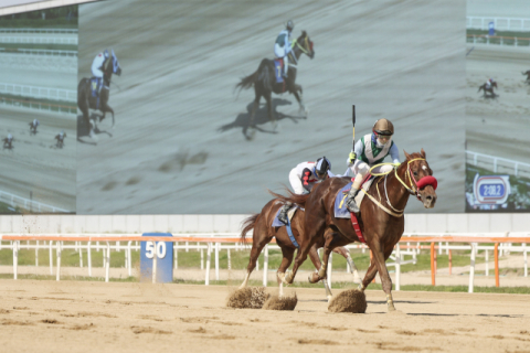 강풍마(24년 스포츠조선배 우승장면)