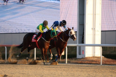 브리더스컵 루키 우승마 슈펙스위너(7번마)와 다실바 기수.