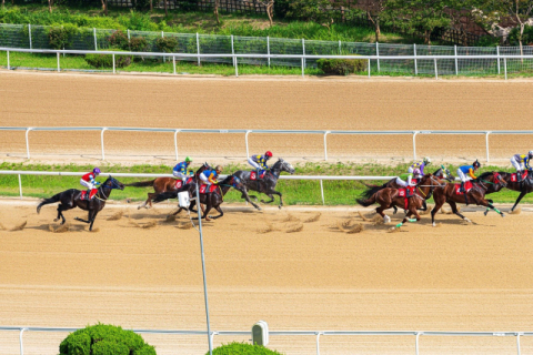 렛츠런파크 부산경남, 12월 경마시행계획 발표