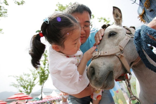 한국마사회는 렛츠런파크 부산경남을 경마장만이 아닌, 시민들이 즐겨찾을 수 있는 공원으로 조성해 많은 사람들이 유원시설과 산책을 즐길 수 있도록 하고 있다. 사진은 렛츠런파크 부산경남이 주최한 축제에서 어린이가 말을 쓰다듬는 모습. 한국마사회 제공