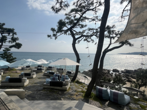 [영상] 우후죽순 기장 오션뷰 카페 한물가나