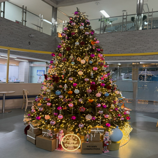 연제구, 반짝이는 트리로 연말 분위기 물씬