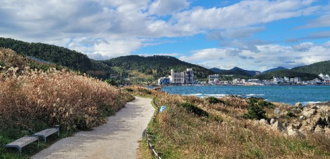 해운대·송도·시민공원·온천천…부산은 러닝 천국