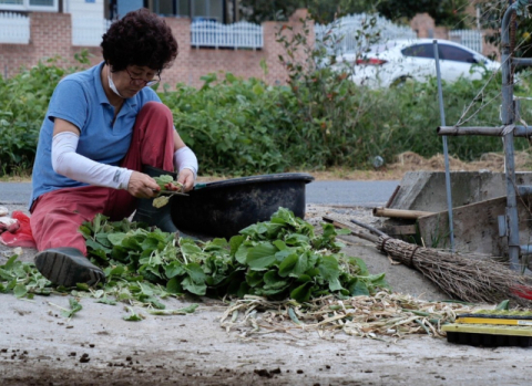 [기자 픽] 영화-여성 감독 독립영화 무료 상영회