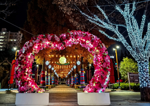 기장군, 정관 윗골공원 ‘빛 거리’ 확대 조성