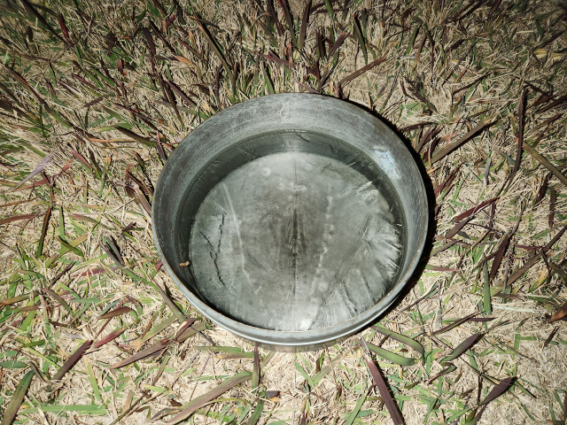 부산지방기상청은 3일 부산에서 첫 얼음이 관측됐다고 4일 밝혔다. 부산지방기상청 제공