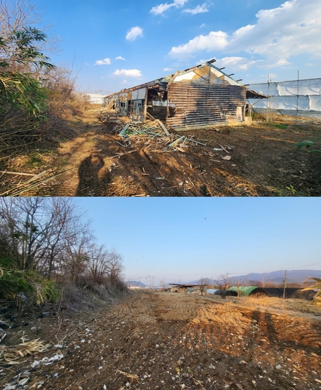 경북 상주 덕산지구에 방치돼 있던 폐계사(위)와 이를 철거한 후의 모습. 농식품부 제공