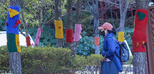 쌀쌀한 날씨를 보인 지난 17일 오후 부산 북구 구포무장애숲길 인근 가로수에 뜨개옷이 입혀져 있다. 김종진 기자 kjj1761@