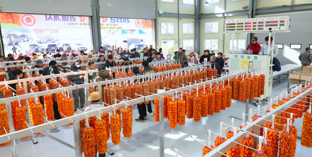 8일 오전 안의농협 서하지점 곶감경매장에서 제20회 지리산 함양곶감 초매식이 열렸다. 함양군 제공