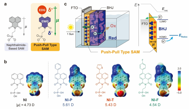그림 . 박막을 구성하는 SAM 단분자(a,b)와 광전극(c)의 구조. (a) 1,8-나프탈이미드에 전자주개를 도입해 분자 내 쌍극자 모멘트를 강화하는 푸시-풀 구조. (b) 이번 연구에서 총 4종류의 푸쉬-풀 타입 SAM 단분자(NI, NI-P, NI-T, NI-F)를 만들었으며, 쌍극자 모멘트가 큰 NI-P, NI-T와 우수한 성능을 보였다. (c) 나프탈이미드 기반 SAM이 도입된 BHJ 유기 광양극의 에너지 밴드 정렬 및 전자 선택적 추출 원리. UNIST 제공