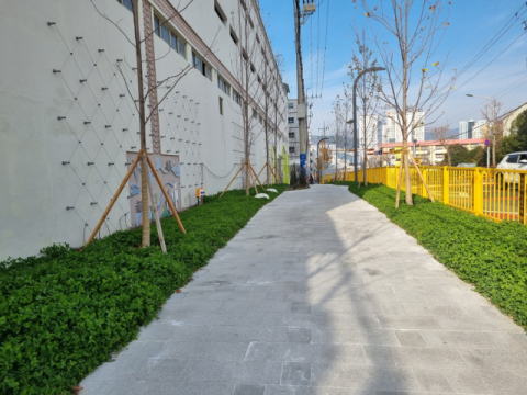 사하구 장림동 효림초교 일원 안전한 통학로 조성 완료