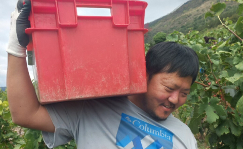 프랑스 시골에서 농사 짓는 한국인 소믈리에