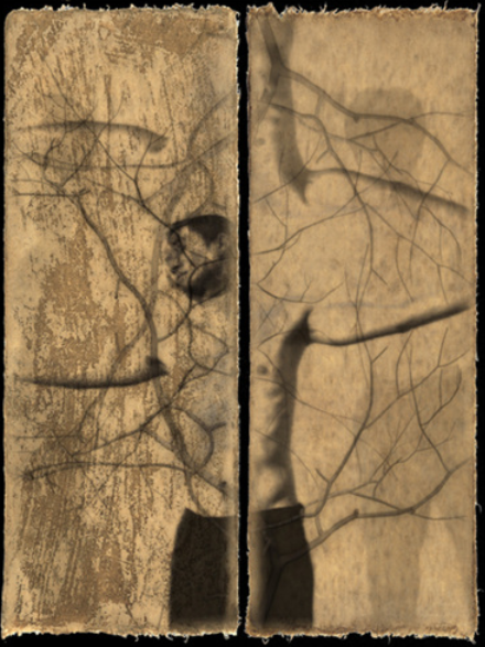 이종석, Tree-Rely on. 부산 프랑스문화원 ART SPACE 제공