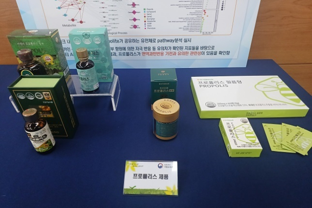 각종 프로폴리스 제품. 농촌진흥청은 ‘프로폴리스 추출물’이 면역 과민 반응을 완화시키는데 효과가 있음을 과학적으로 입증했다고 18일 밝혔다. 김덕준 기자