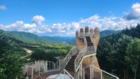 숲 키우는 거창군, 탄소배출권 시장 나선다