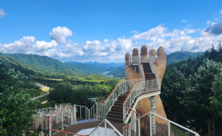 숲 키우는 거창군, 탄소배출권 시장 나선다