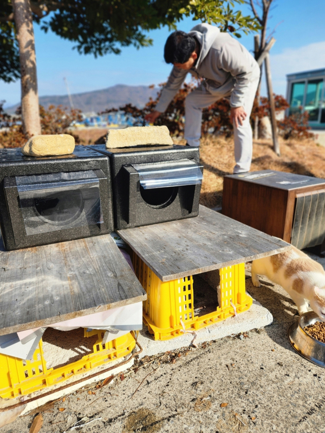 통영시 한산면 용호도 고양이섬 추진위원회와 마을 주민이 협업해 섬에서 생활하는 길고양이를 위한 겨울 보금자리를 마련했다. 통영시 제공