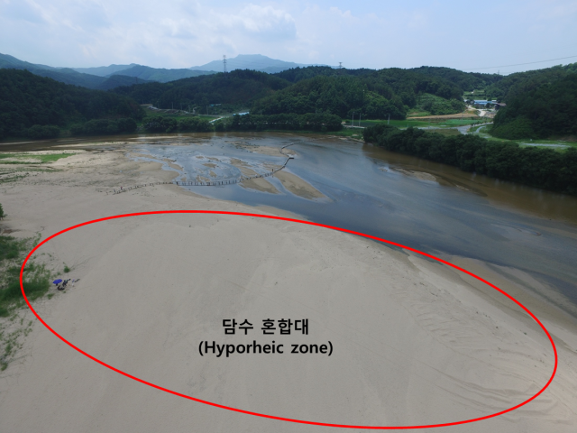 낙동강 담수 혼합대 모식도 사진. 국립낙동강생물자원관 제공