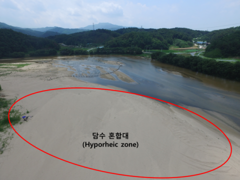 “낙동강 담수 혼합대에서 담수생물 30종 확인”