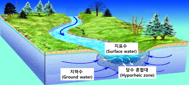 낙동강 담수 혼합대 모식도. 국립낙동강생물자원관 제공