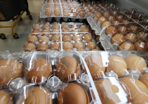 계란 한 판 7000원 돌파…AI 확산에 수급불안 우려