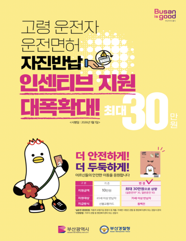 부산시가 내년부터 고령 운전자 운전면허 자진반납 인센티브 지원을 대폭 확대한다. 사진은 관련 포스터. 부산시 제공