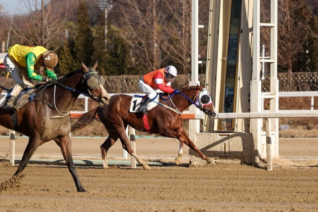 박태종 기수의 마지막 경기 모습. 1번마가 박태종 기수. 한국마사회 제공