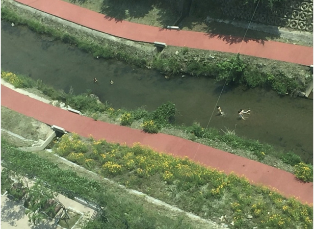 부산 강서구 지사천 모습. 강서발전 100인위원회 제공