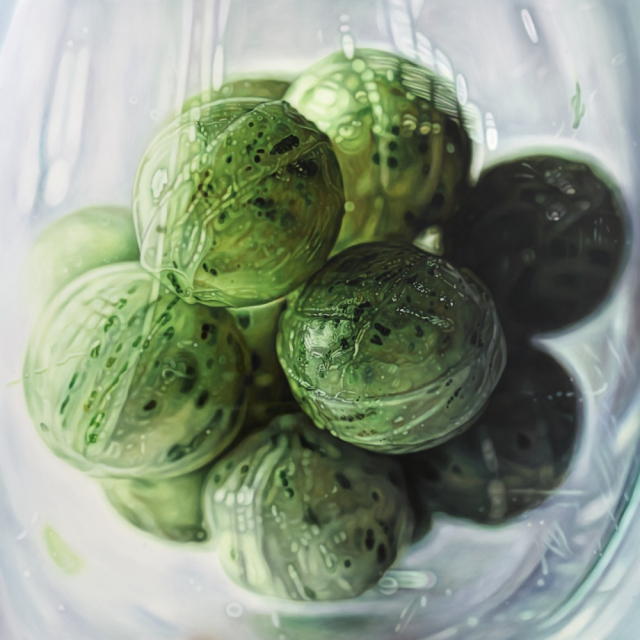 안성하, Untitled, 2025. 소울아트스페이스 제공