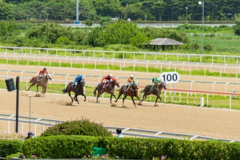 렛츠런파크 부산경남, 2026년 1월 경마시행계획 발표
