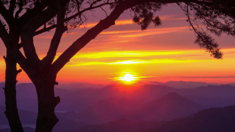 ‘20년 숙원’ 영남알프스 케이블카 또 좌초 위기